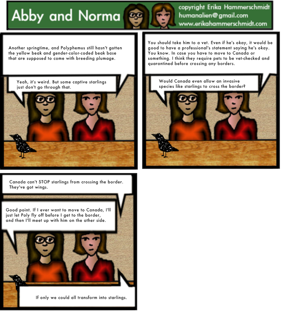  Abby and Norma consider the option of moving to Canada quite often these days