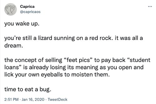 screenshot from a tweet by user capricaos on Jan 16, 2020. the text reads: you wake up. you're still a lizard sunning on a red rock. it was all a dream. the concept of selling 'feet pics' to pay back 'student loans' is already losing its meaning as you open and lick your own eyeballs to moisten them. time to eat a bug.