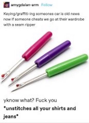 tumblr post by amygdalan-arm: Keying/graffiti-ing someones car is old news now if someone cheats we go at their wardrobe with a seam ripper (picture of two seam rippers, sharp tools for removing stitches in fabric) yknow what? Fuck you *unstitches all your shirts and jeans*