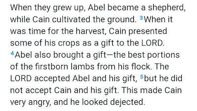 When they grew up, Abel became a shepherd, while Cain cultivated the ground. When it was time for the harvest, Cain presented some of his crops as a gift to the LORD. Abel also brought a gift- the best portions of the firstborn lambs from his flock. The LORD accepted Abel and his gift, but he did not accept Cain and his gift. This made Cain very angry, and he looked dejected.