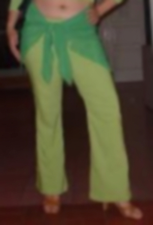  blurry image from the waist down of me in green pants