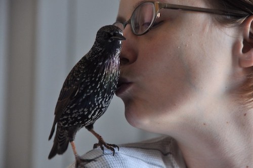 Erika Hammerschmidt kissing her pet starling